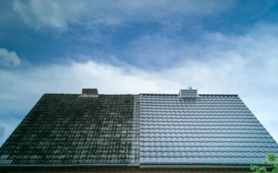 Essential Roof Care: The Most Important Roof Cleaning Tips