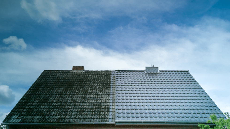 A tile roof with one half completely clean and the other covered in moss and dirt 980x551