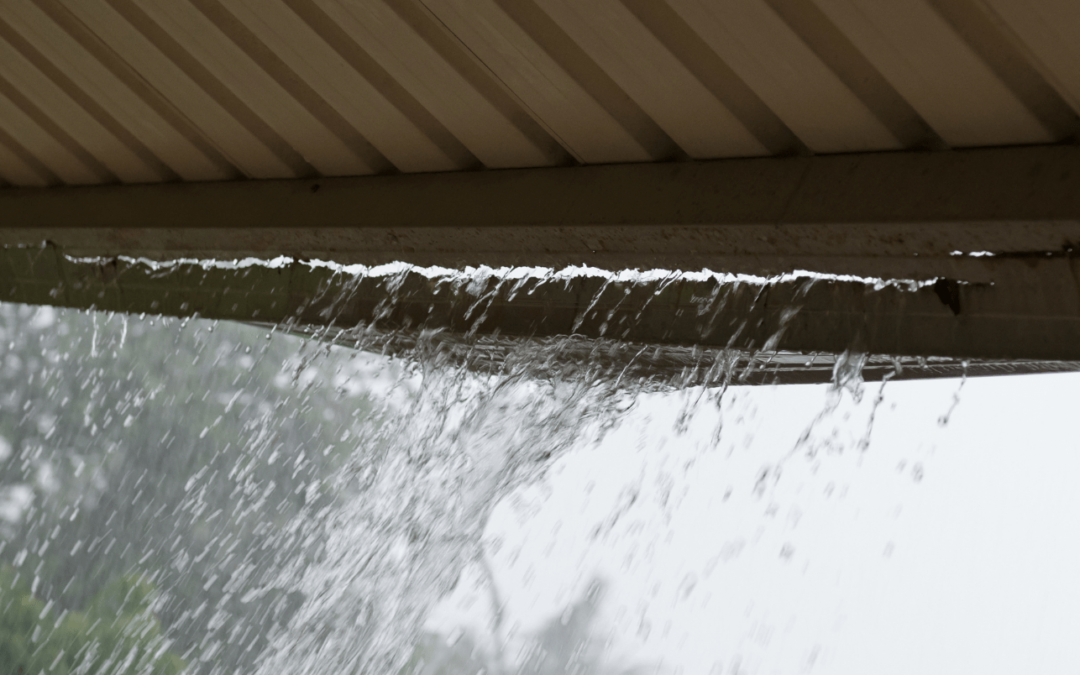 Why Your Home Needs New Gutters: Signs and Solutions