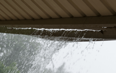 Why Your Home Needs New Gutters: Signs and Solutions