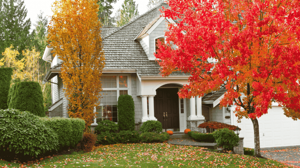 A large house with a front yard covered in fall leaves and a beautiful orange red tree 980x551