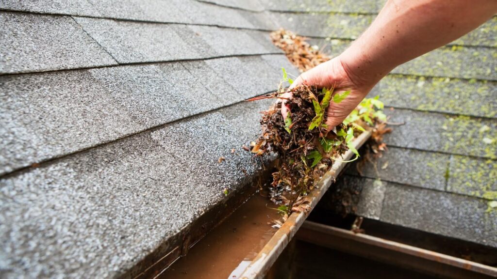 A hand pulls fallen leaves and debris from a gutter that is full of brown water.