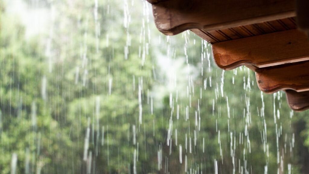 The eave of a roof with pouring rain and pine trees outside.