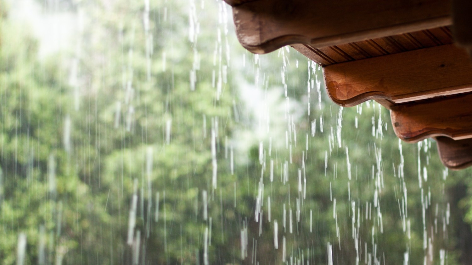 The eave of a roof with pouring rain and pine trees outside.